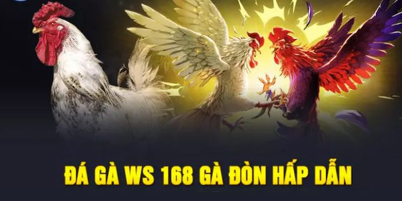 Hướng dẫn tham gia chơi đá gà trực tuyến Ws168